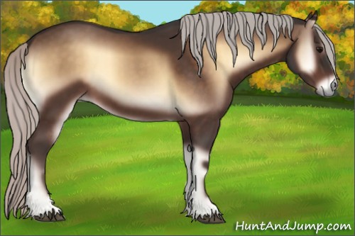 Horse Color:Silver Brown Onyx 