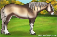 Horse Color:Silver Brown Onyx