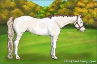 Horse Color:Perlino Dun Tobiano 
