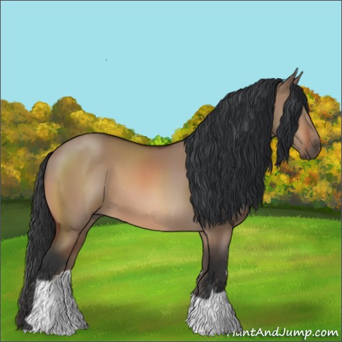 Horse Color:Bay Dun 