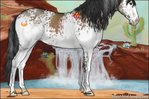 Horse Color:White Spotted Brown Dun