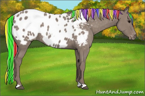 Horse Color:Painted Silver Grullo Appaloosa 