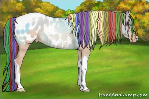 Horse Color:Painted Gold Champagne Dun Tobiano Appaloosa Rabicano 