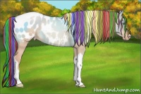 Horse Color:Painted Gold Champagne Dun Tobiano Appaloosa Rabicano