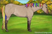 Horse Color:Painted Silver Brown Dun Rabicano 