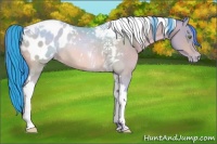 Horse Color:Watercolor Sable Champagne Tobiano Appaloosa Rabicano
