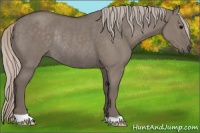 Horse Color:Silver Grullo Rabicano