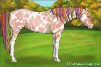 Horse Color:Painted Gold Champagne Tobiano Appaloosa Rabicano 