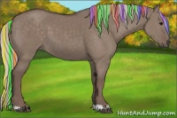 Horse Color:Painted Silver Grullo 