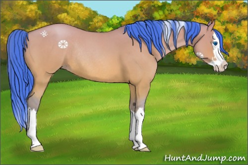 Horse Color:Watercolor Amber Champagne Roan Dun Splash Rabicano