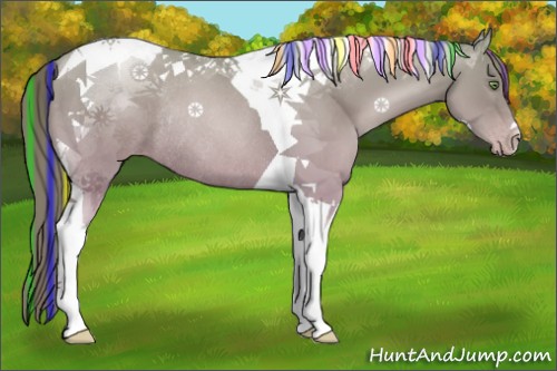 Horse Color:Painted Gold Champagne Tobiano Rabicano 