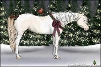 Horse Color:Perlino Dun Tobiano 