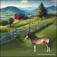 Horse Color:Bay Onyx Tobiano 