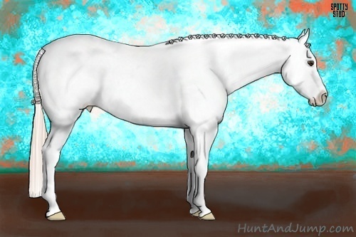 Horse Color:White Spotted Chocolate Palomino Ice Splash Varnish 