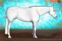 Horse Color:White Spotted Chocolate Palomino Ice Splash Varnish