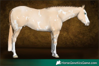 Horse Color:White Spotted Smoky Black Pearl Splash 