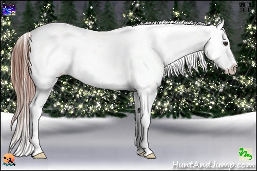 Horse Color:Chestnut Ice Splash Near Leopard