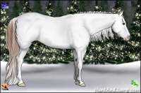Horse Color:Chestnut Ice Splash Near Leopard 