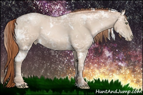 Horse Color:White Spotted Buckskin Ice Pearl 