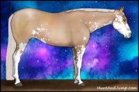 Horse Color:Silver Black Pearl Sabino 