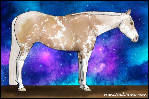Horse Color:Silver Black Pearl Sabino 