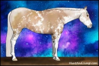 Horse Color:Silver Black Pearl Sabino 