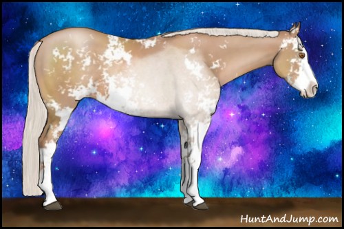 Horse Color:Silver Black Pearl Sabino 