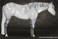 Horse Color:White Spotted Silver Grullo Chinchilla 