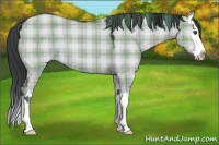 Horse Color:Plaid  Grullo Chinchilla Sabino Splash 