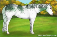 Horse Color:White Spotted Silver Black Chinchilla 