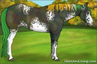 Horse Color:Watercolor White Spotted Midnight Grullo Chinchilla Ice 