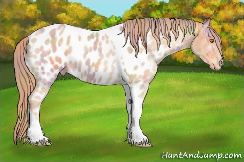 Horse Color:Nacre Gold Champagne Tobiano Near Leopard 