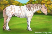 Horse Color:Nacre Gold Champagne Tobiano Near Leopard 
