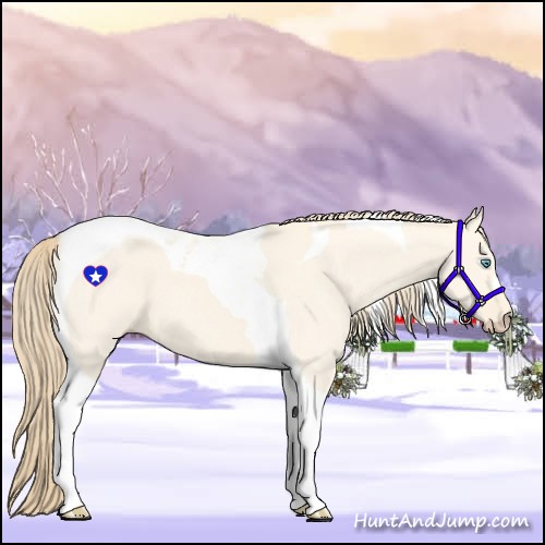 Horse Color:Perlino Dun Tobiano