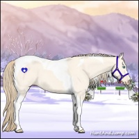 Horse Color:Perlino Dun Tobiano 