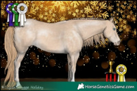 Horse Color:Chocolate Perlino 