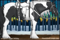 Horse Color:Black Tobiano 