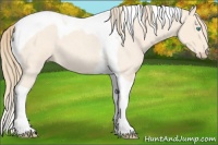 Horse Color:Perlino Roan Tobiano 