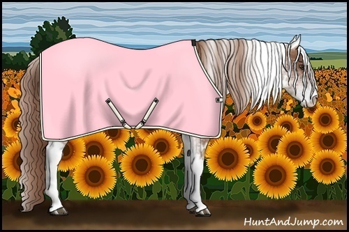 Horse Color:White Spotted Chestnut 