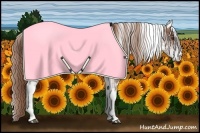 Horse Color:White Spotted Chestnut 