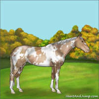 Horse Color:White Spotted Liver Chestnut Pearl 