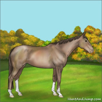 Horse Color:Black Pearl