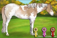 Horse Color:White Spotted Liver Chestnut Pearl Sabino 