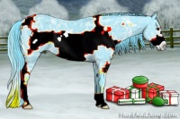 Horse Color:Watercolor White Spotted Black Ice Frame 