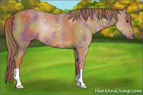Horse Color:Nacre Chestnut 