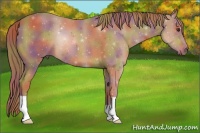 Horse Color:Nacre Chestnut 