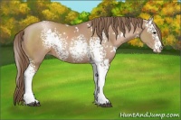 Horse Color:White Spotted Black Pearl 