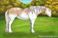 Horse Color:White Spotted Silver Black Pearl Sabino