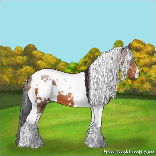 Horse Color:White Spotted Bay Tobiano 