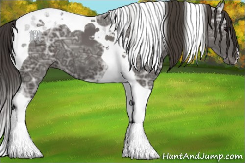 Horse Color:Smoky Black Ice Tobiano 